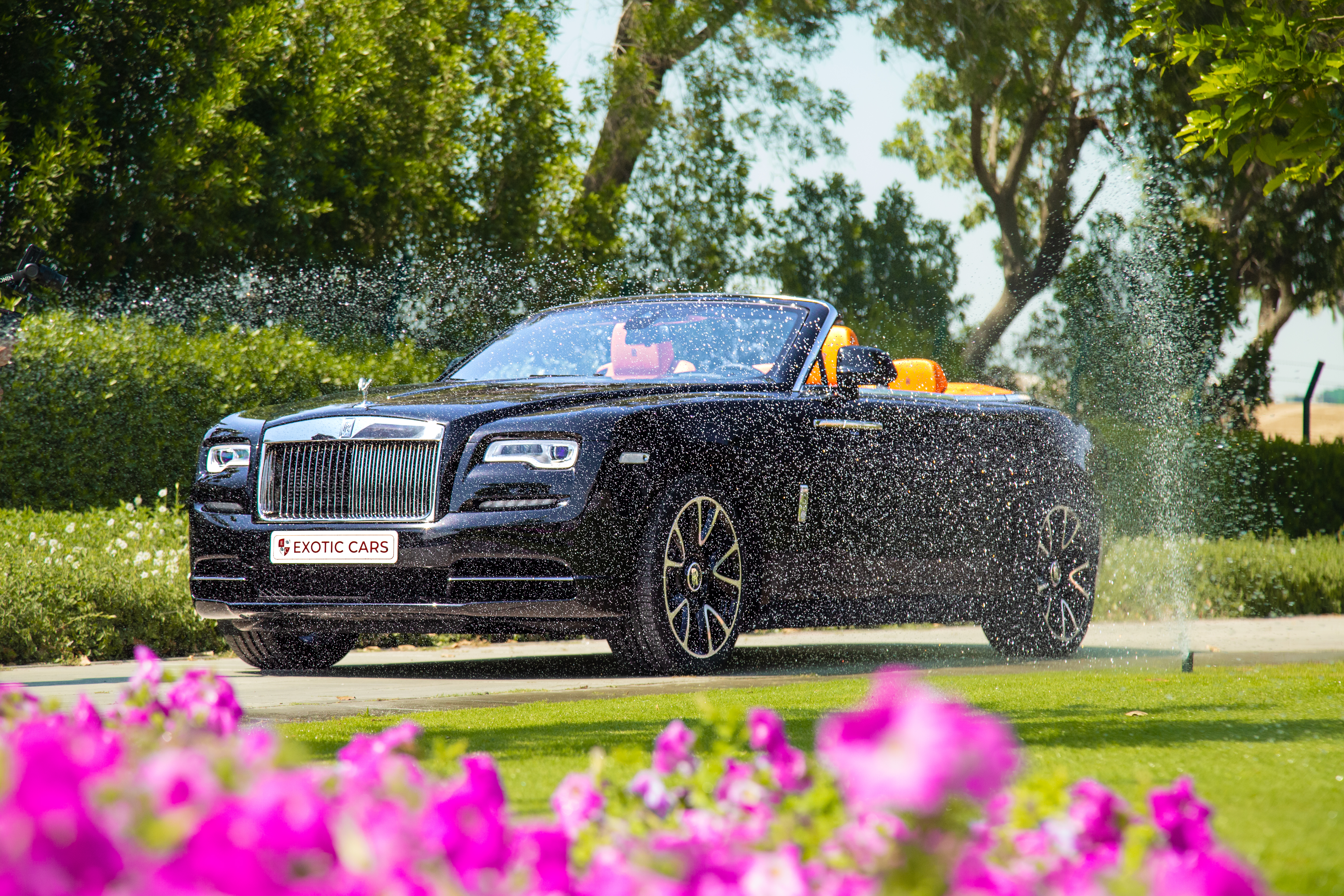 2021 Rolls Royce Dawn